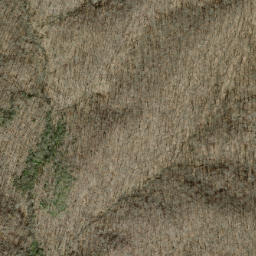 Satellite imagery of Ivy Ridge, US