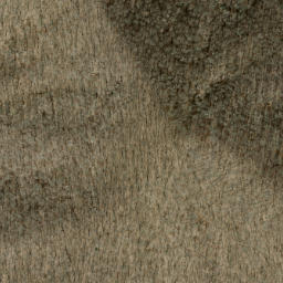 Satellite imagery of Ivy Ridge, US