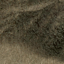 Satellite imagery of Ivy Ridge, US