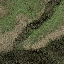 Satellite imagery of Paw Paw Ridge, US