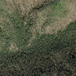 Satellite imagery of Little Chestnut Ridge, US