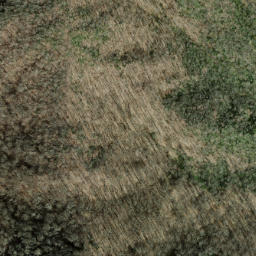 Satellite imagery of Little Chestnut Ridge, US