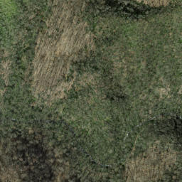 Satellite imagery of Rough Arm, US