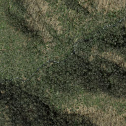 Satellite imagery of Rough Arm, US