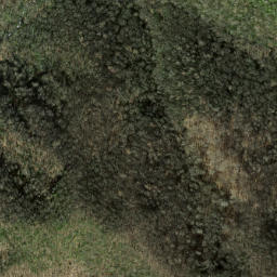 Satellite imagery of Rough Arm, US