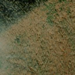 Satellite imagery of Jerry Bald Ridge, US