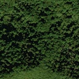 Satellite imagery of Parson Lead, US