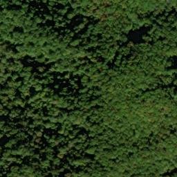 Satellite imagery of Parson Lead, US