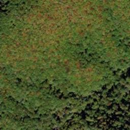 Satellite imagery of Gregory Ridge, US