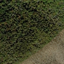 Satellite imagery of Doe Ridge, US