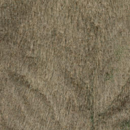Satellite imagery of Hurricane Ridge, US