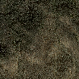 Satellite imagery of Paw Paw Ridge, US