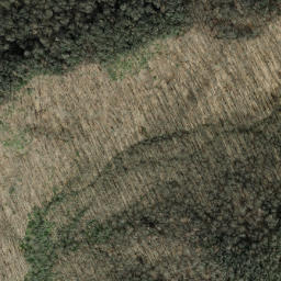 Satellite imagery of Horse Cove Ridge, US