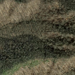Satellite imagery of Panther Den Ridge, US