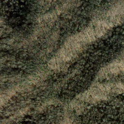 Satellite imagery of Panther Den Ridge, US