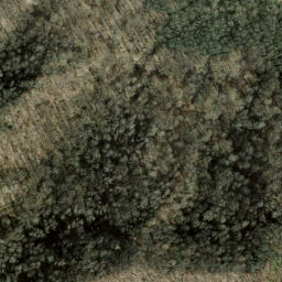 Satellite imagery of Panther Den Ridge, US
