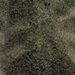 Satellite imagery of Elbow Ridge, US