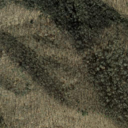Satellite imagery of Elbow Ridge, US