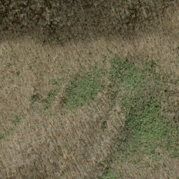 Satellite imagery of Paw Paw Ridge, US
