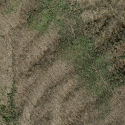 Satellite imagery of Paw Paw Ridge, US