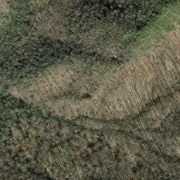 Satellite imagery of Horse Cove Ridge, US