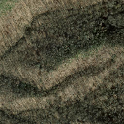 Satellite imagery of Panther Den Ridge, US