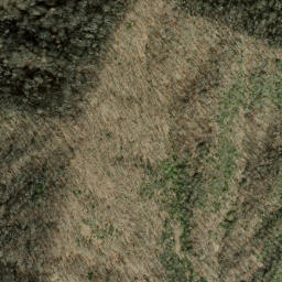 Satellite imagery of Panther Den Ridge, US