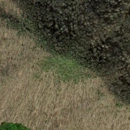 Satellite imagery of Elbow Ridge, US