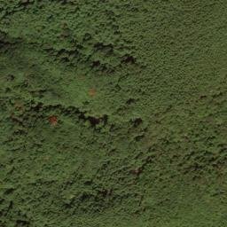 Satellite imagery of survey_point, JP