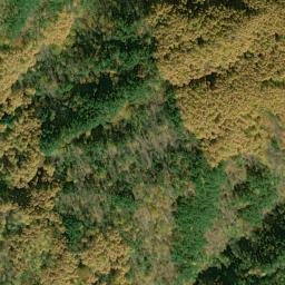 Satellite imagery of survey_point, JP