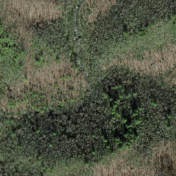 Satellite imagery of Piney Ridge, US