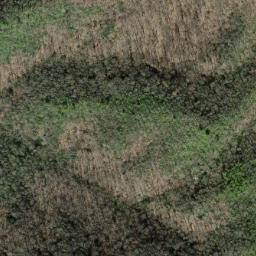Satellite imagery of Piney Ridge, US