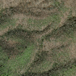 Satellite imagery of Piney Ridge, US