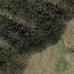 Satellite imagery of Panther Den Ridge, US