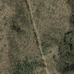 Satellite imagery of Dobson Ridge, US