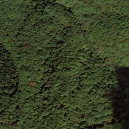 Satellite imagery of survey_point, JP