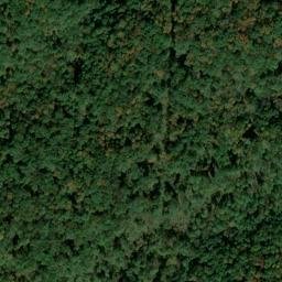 Satellite imagery of Lyon Prospect, US