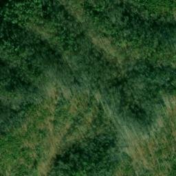 Satellite imagery of Trail Ridge, US