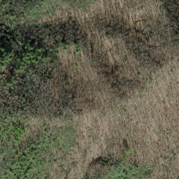Satellite imagery of Piney Ridge, US