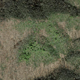 Satellite imagery of Piney Ridge, US