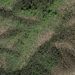Satellite imagery of Piney Ridge, US
