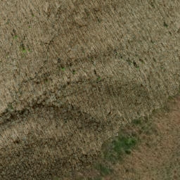 Satellite imagery of Long Hungry Ridge, US