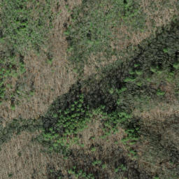 Satellite imagery of Piney Ridge, US