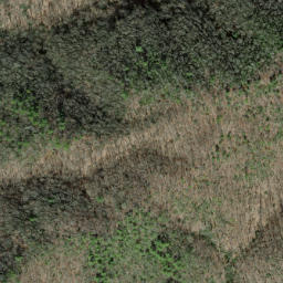 Satellite imagery of Piney Ridge, US