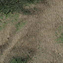 Satellite imagery of Piney Ridge, US