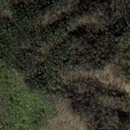 Satellite imagery of Oconanluftee Mountain Farm Museum, US