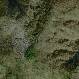 Satellite imagery of survey_point, JP