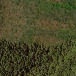 Satellite imagery of Bald Ridge, US