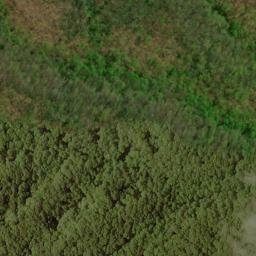 Satellite imagery of Bald Ridge, US