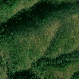 Satellite imagery of Citico Mountain, US